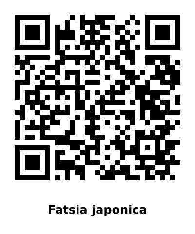 QR code for Fatsia japonica