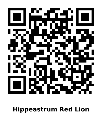 QR code for Hippeastrum Red Lion