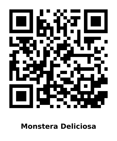 QR code for Monstera Deliciosa