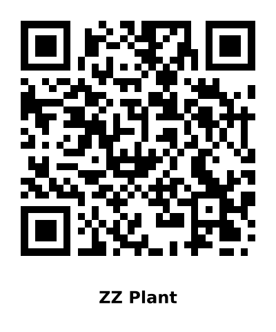 QR code for ZZ Plant